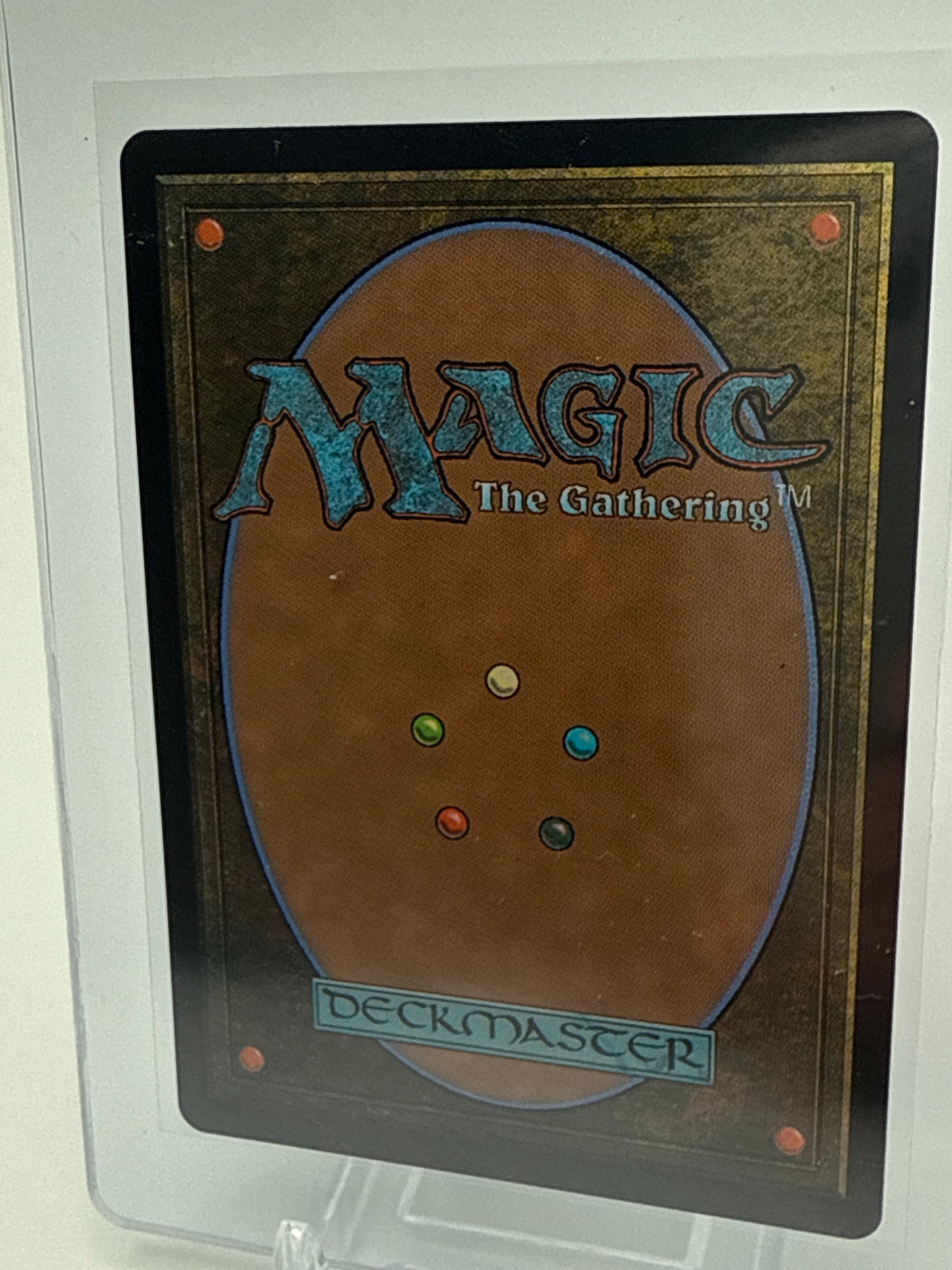 Plains Dragon Eye 0287 - Magic the Gathering Tarkir Dragonstorm