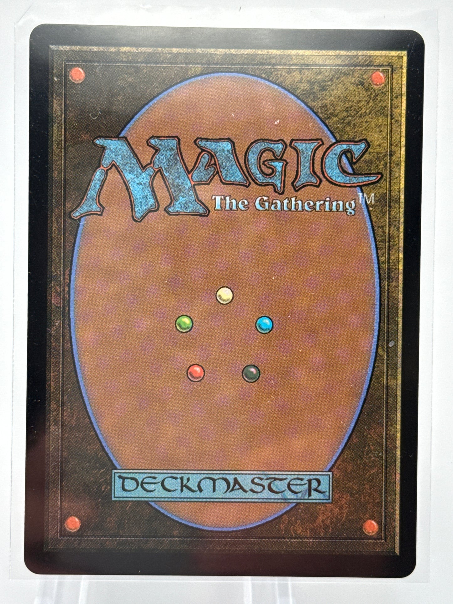 Herd Heirloom Borderless 0347 Magic the Gathering Tarkir Dragonstorm **Foil**