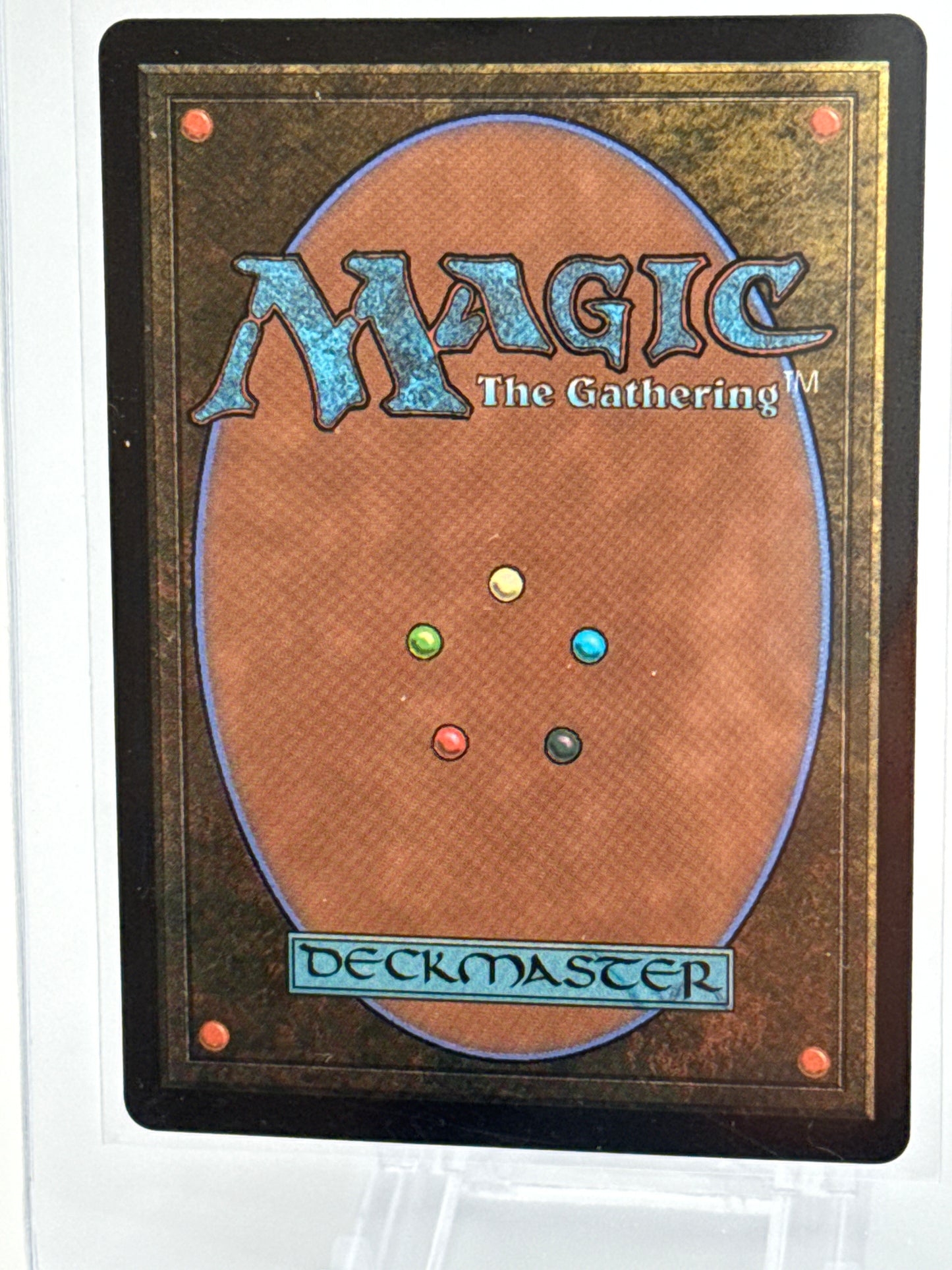 Rescue Leopard 0116 Magic the Gathering Tarkir Dragonstorm **Foil**