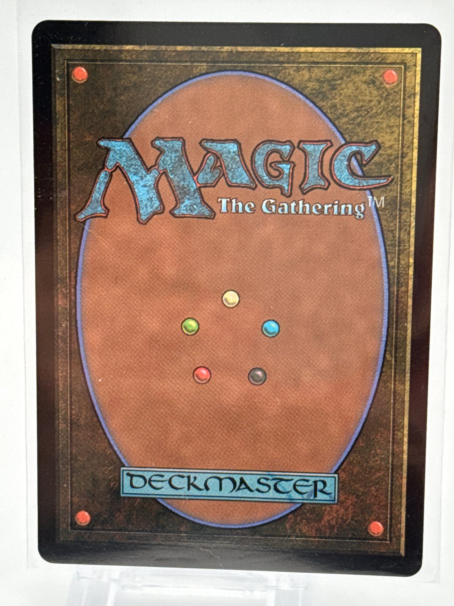 Marang River Regent 0051 - Magic the Gathering Tarkir Dragonstorm **Foil**